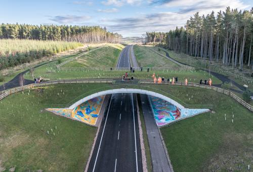 BAM road construction project showing a bridge covered in grass crossing a main road.
